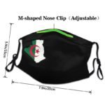 Masque lavable drapeau algérien