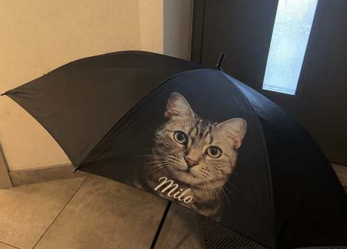 Parapluie personnalisé avec photo