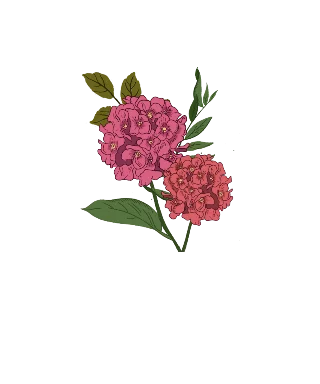 bouquet de fleurs roses t shirt design