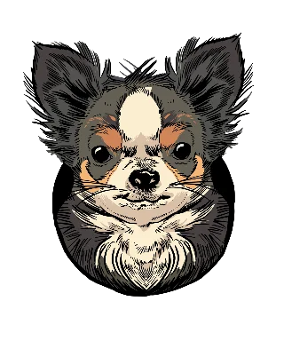chien chihuahua t shirt design