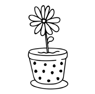 fleur en pot