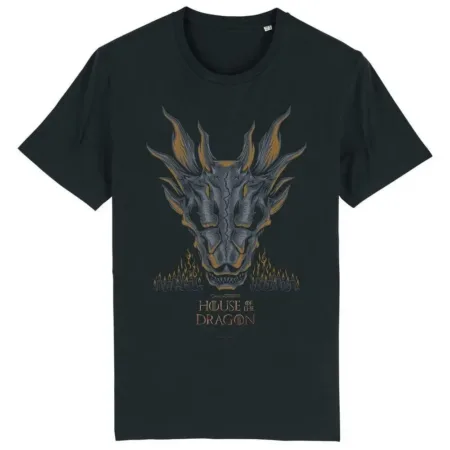 kf S8513b32478934541a17a5b8cb30979c6p DRAGON SKULL House of the Dragon Adult T Shirt