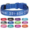 Collier de chien personnalisé en Nylon