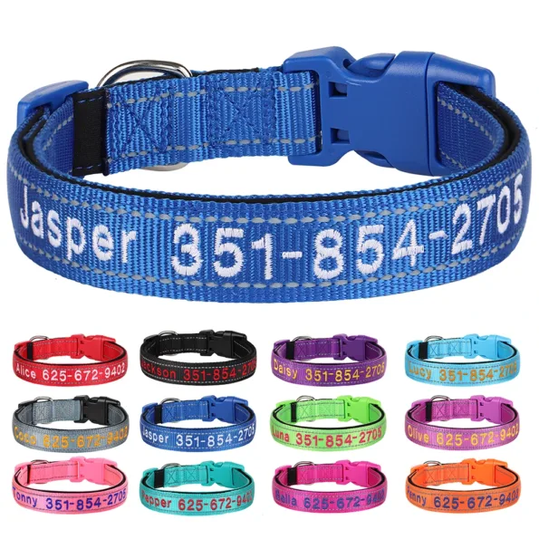 Collier de chien personnalisé en Nylon