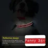 Collier de chien personnalisé en Nylon
