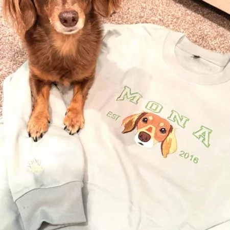 Sweat personnalisé brodé chien coton épais 300g