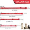 Collier de chien personnalisé en Nylon