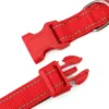 Collier de chien personnalisé en Nylon