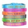 Collier de chien personnalisé en Nylon