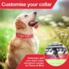 Collier de chien personnalisé en Nylon