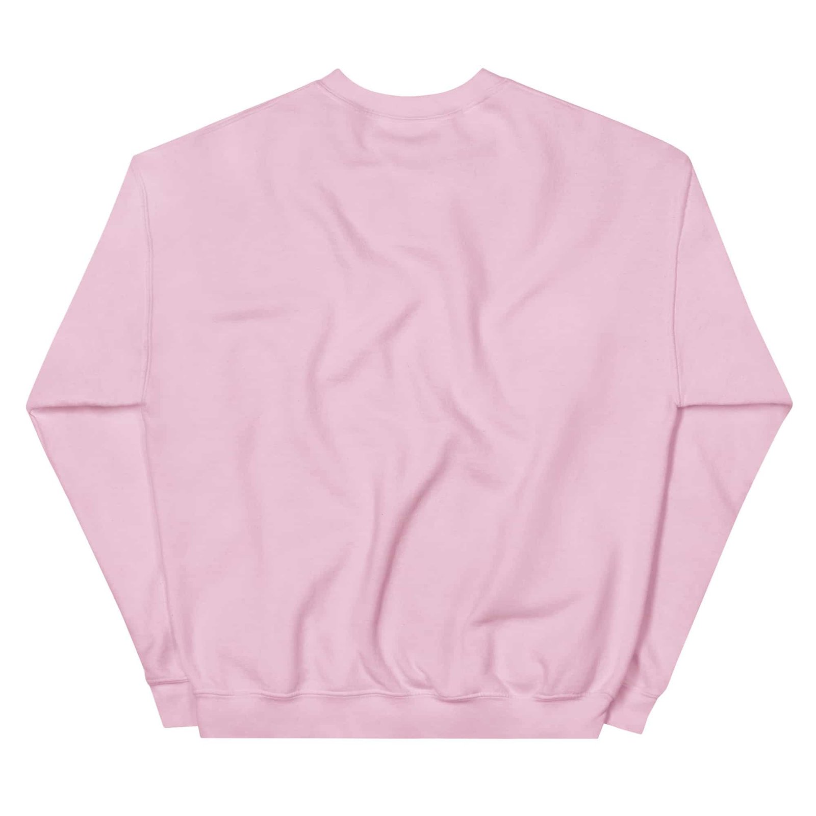 unisex-crew-neck-sweatshirt-light-pink-back-698f4812e63c0.jpg