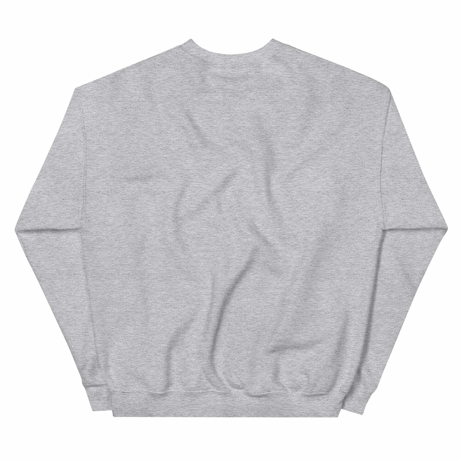 unisex-crew-neck-sweatshirt-sport-grey-back-698f4812dc393.jpg