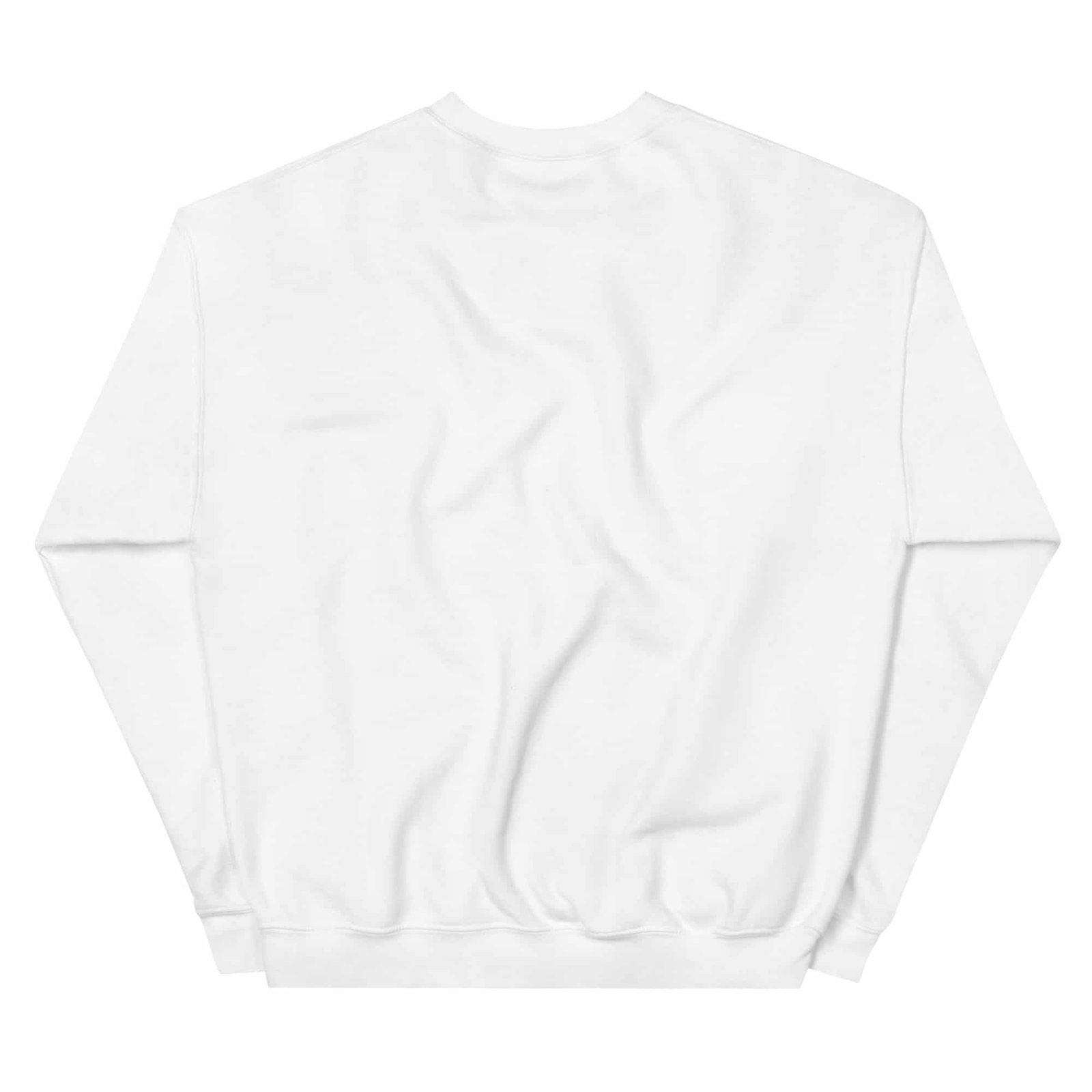 unisex-crew-neck-sweatshirt-white-back-698f4812f1872.jpg